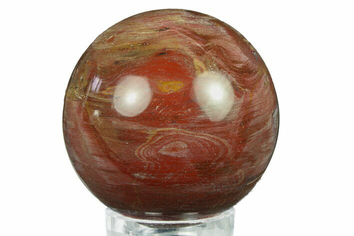 Colorful Petrified Wood (Araucaria) Sphere - Madagascar #286134